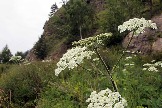 7IMG_2395.jpg