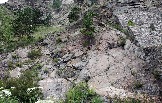 7IMG_2397.jpg