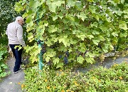 1 IMG_3947.jpg