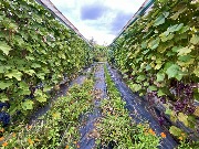 1 IMG_3948.jpg