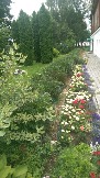 IMAG0354.jpg