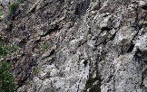 7IMG_2416.jpg