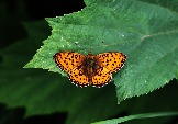 7IMG_2438.jpg