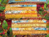 30-28 IMG_7064.JPG