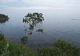 7P7100775.jpg