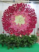 выставка IMG_9536.JPG