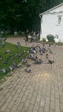 IMAG0321.jpg