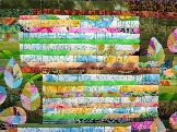 31-29 IMG_7065.JPG