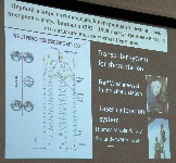 3 У IMG_5490.JPG