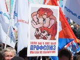 IMG_7463.jpg
