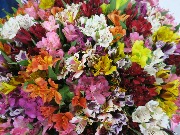 выставка IMG_9527.JPG