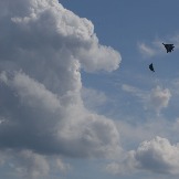 DSC09960.JPG