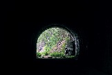 7IMG_2379.jpg