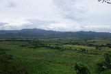 DSC03232.jpg