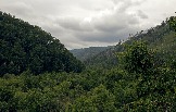7IMG_2369.jpg