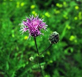 7P7100819.jpg