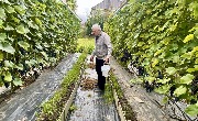 1 IMG_3939.jpg