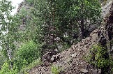 7IMG_2387.jpg