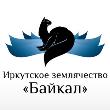 Барышников Виталий Владимирович Барышников Виталий Владимирович