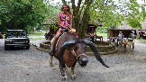 DSC03104.jpg