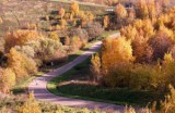 Осенью россияне особенно ранимы и конфликтны .