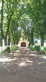 IMAG0393.jpg