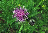 7P7100817.jpg