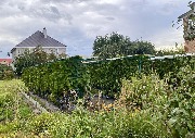 1 IMG_3924.jpg