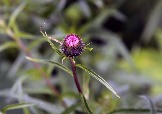 7IMG_2440.jpg