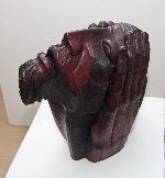 1aIMG_9514.jpg