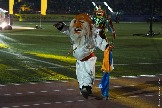 IMG_0100.JPG
