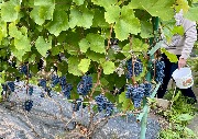 1 IMG_3937.jpg