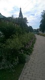 IMAG0371.jpg