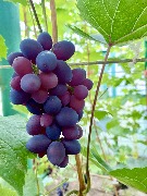 1 IMG_3991.jpg