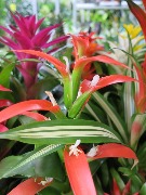 выставка IMG_0823.JPG