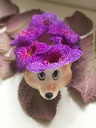 Ахименес IMG_1043.jpeg