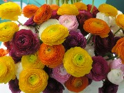 выставка IMG_9597.JPG