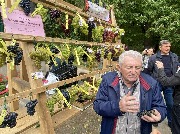 1 IMG_3741.jpg