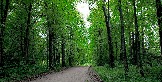aIMG_9174-0.jpg