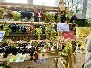 1 IMG_3762.jpg