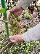1 IMG_3989.jpg