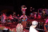 DSC03178.jpg