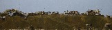 1aIMG_9523.jpg
