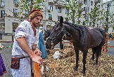 1IMG_9398.jpg