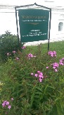 IMAG0330.jpg
