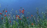 7IMG_2389.jpg