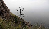 7IMG_2400.jpg