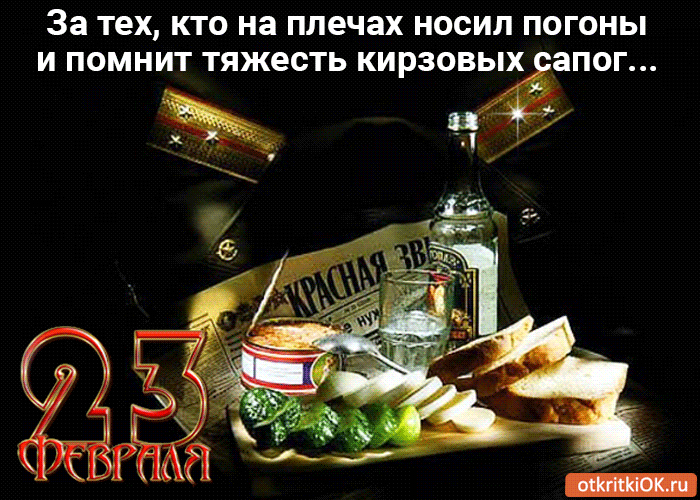23 фев.gif
