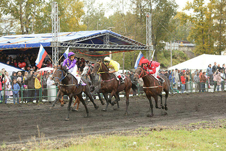 скачки.jpg скачки.jpg