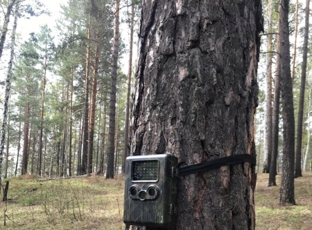 1605fotolovushki.jpg